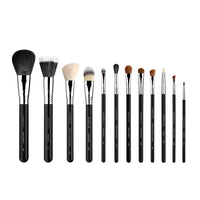 Sigma Essential Brush Set