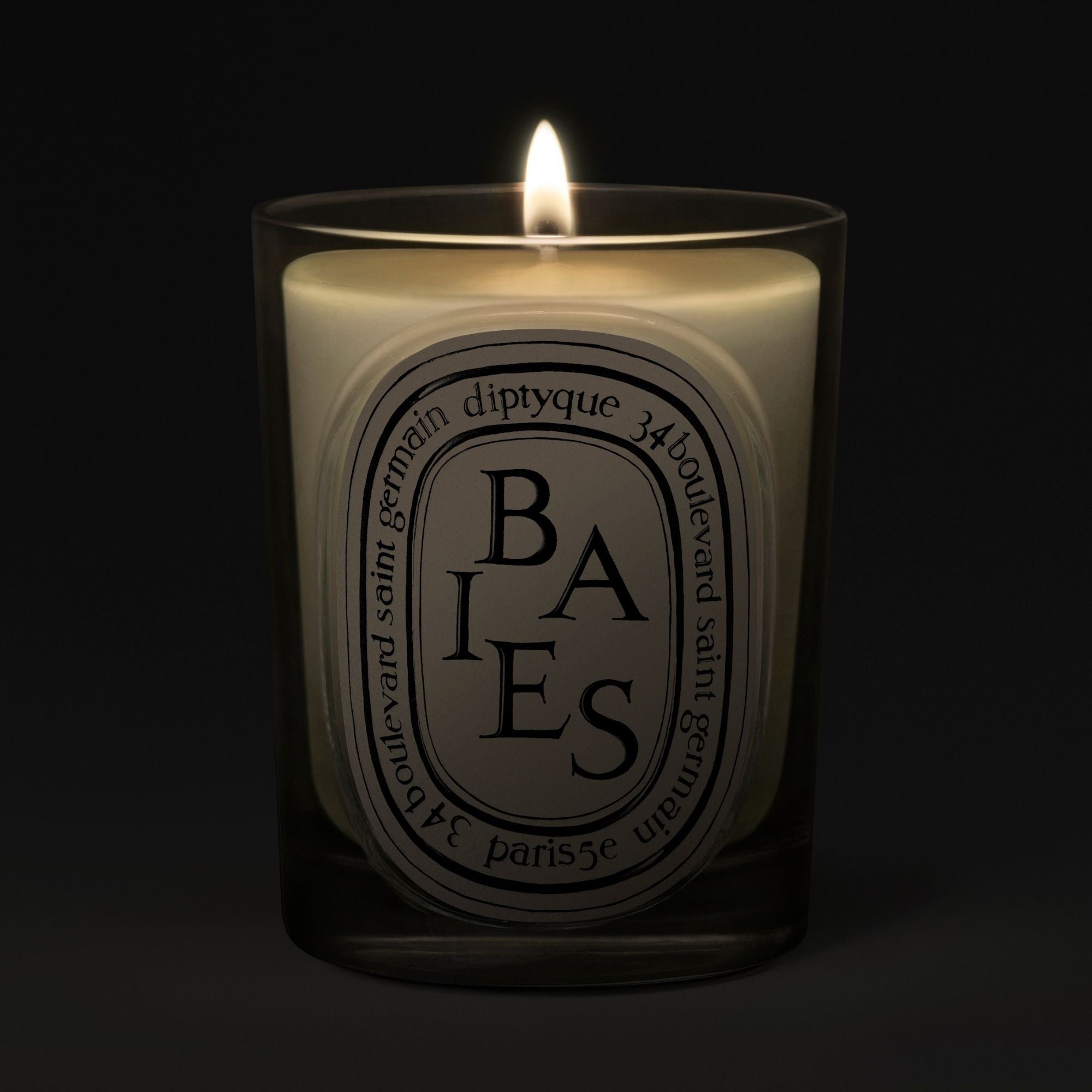 Diptyque Baies Classic Candle 190 g – Koch Parfymeri