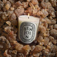 Diptyque Benjoin Classic Candle 190 g - Koch Parfymeri
