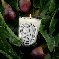 Diptyque Figuier Classic Candle 190 g - Koch Parfymeri