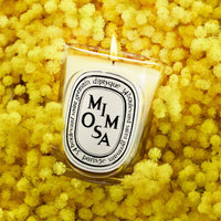 Diptyque Mimosa Classic Candle 190 g - Koch Parfymeri