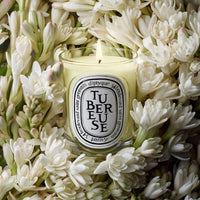 Diptyque Tubéreuse Classic Candle 190 g - Koch Parfymeri