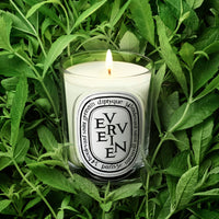 Diptyque Verveine Classic Candle 190 g - Koch Parfymeri