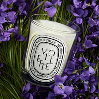 Diptyque Violette Classic Candle 190 g