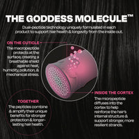 Goddess BioTech Blowout™ System (pakkepris)