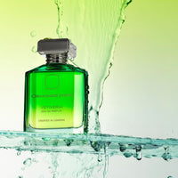 Ormonde Jayne Vetiveria Eau de Parfum 88 ml