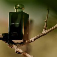 Jo Malone London Cypress & Grapevine Cologne Intense