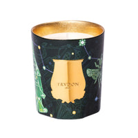 Trudon Fir Classic Candle (Christmas Tree)