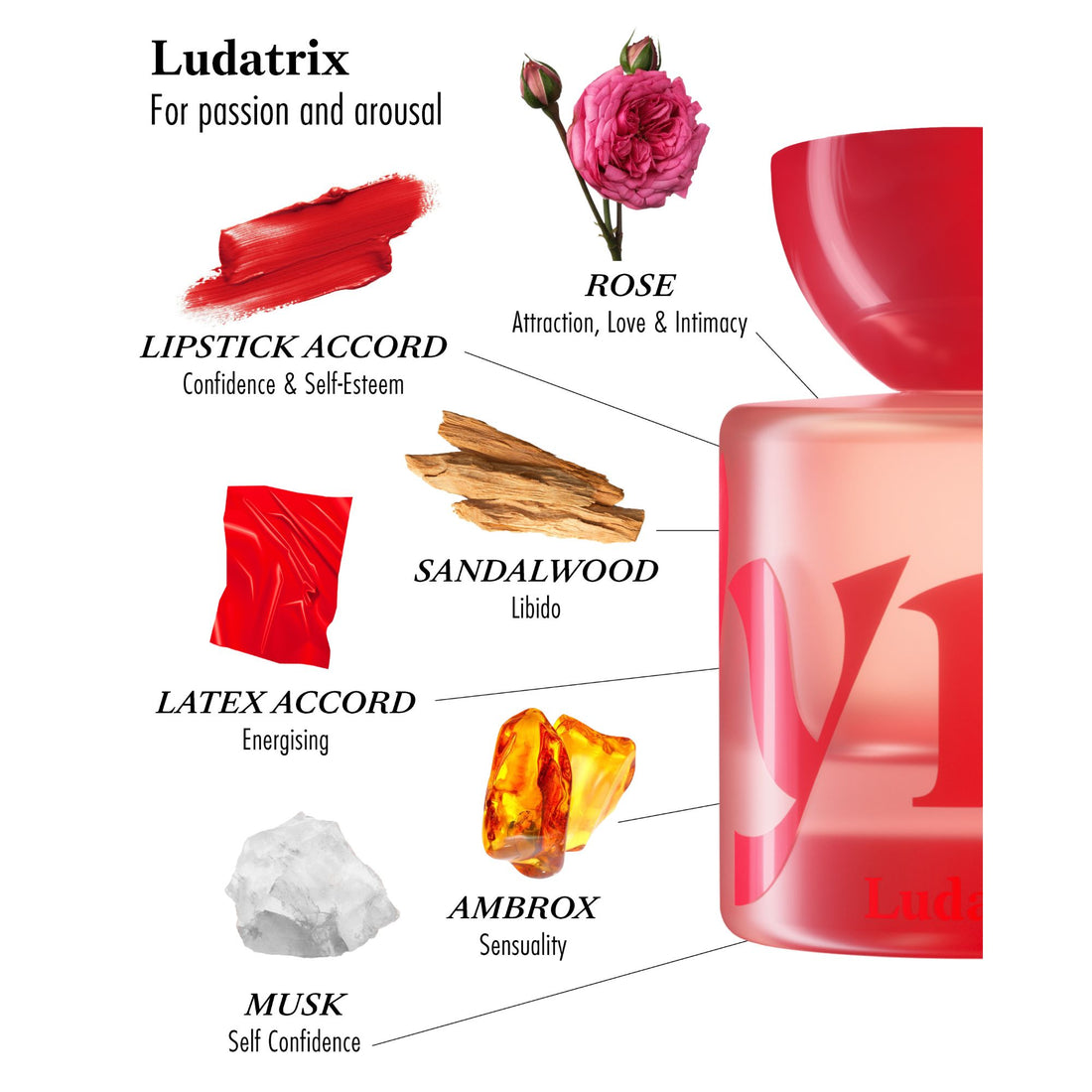 Vyrao Ludatrix Eau de Parfum 50 ml