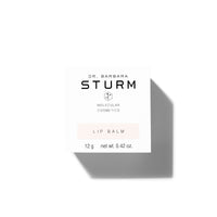 Dr. Barbara Sturm Lip Balm - Koch Parfymeri
