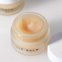 Dr. Barbara Sturm Lip Balm - Koch Parfymeri