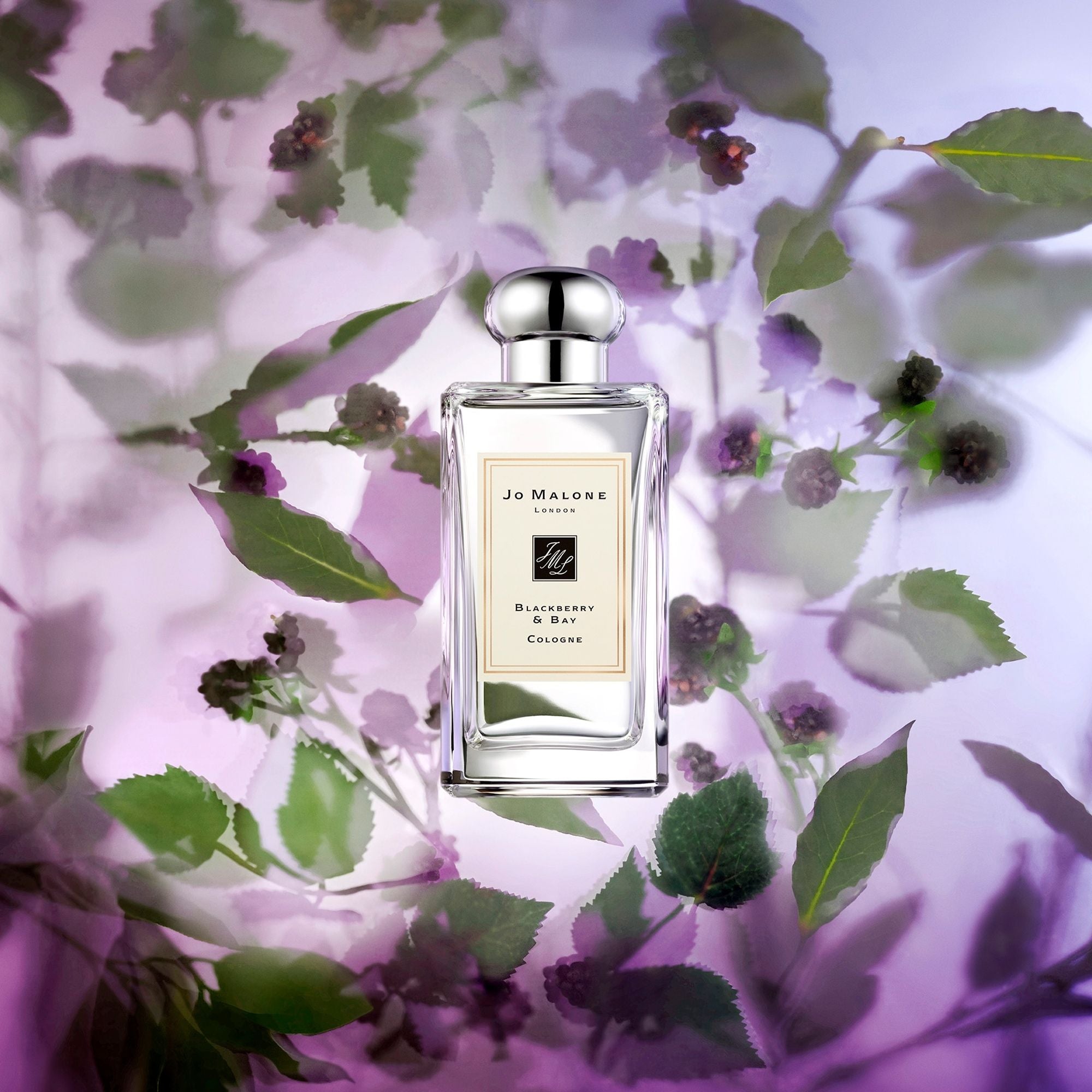香水(ユニセックス) Jo Malone Blackberry & Bay Cologne 100ml Jo Malone London Blackberry & Bay Cologne