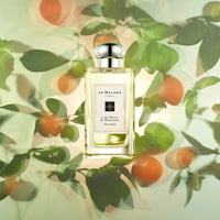 Jo Malone London Lime Basil & Mandarin Body & Hand Wash 250 ml - Koch Parfymeri