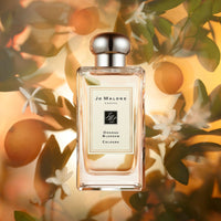 Jo Malone London Orange Blossom Cologne - Koch Parfymeri