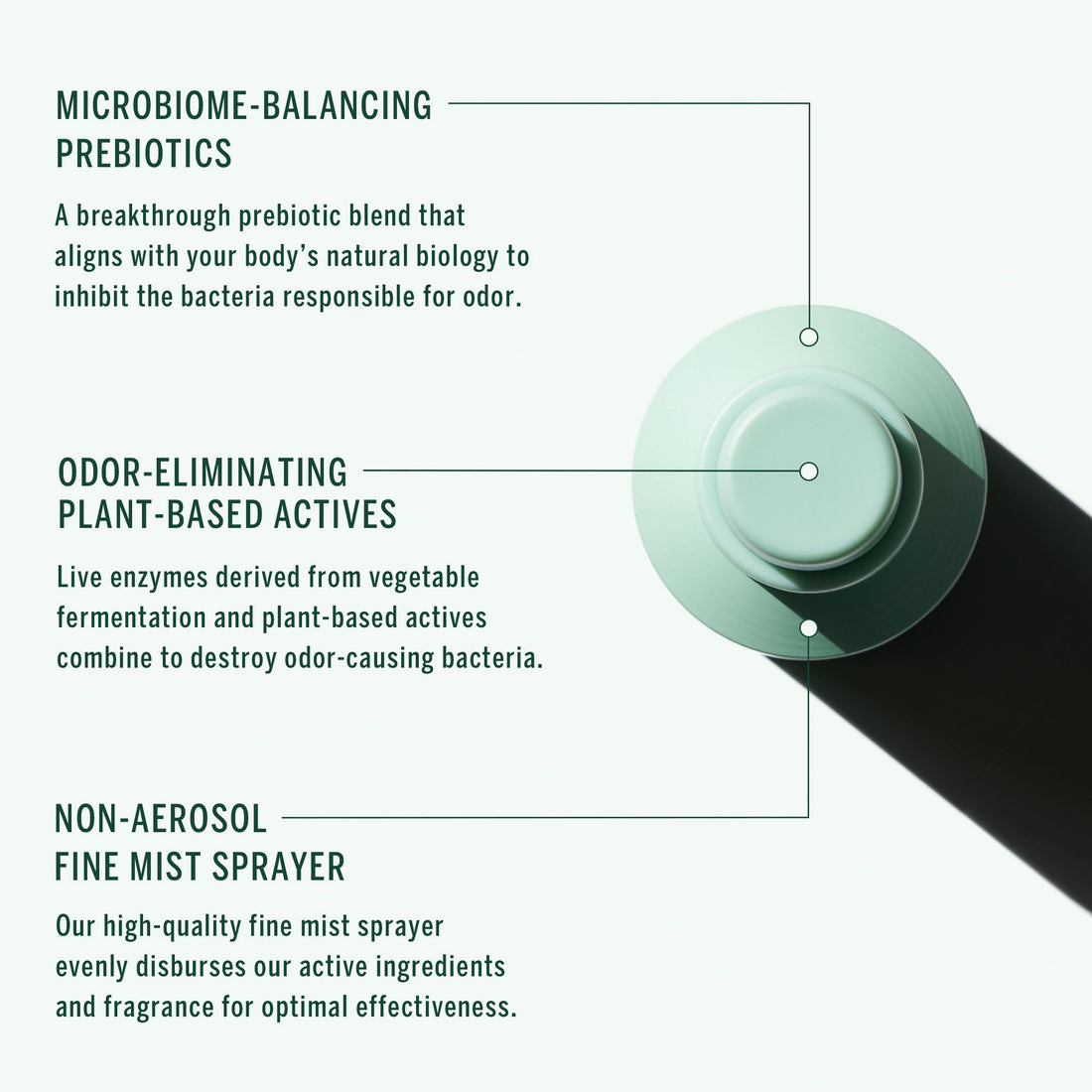 Corpus Cedar Flora Deodorant Spray 75 ml
