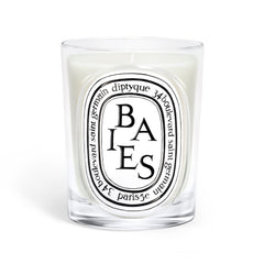 Diptyque Baies Classic Candle 190 g - Koch Parfymeri