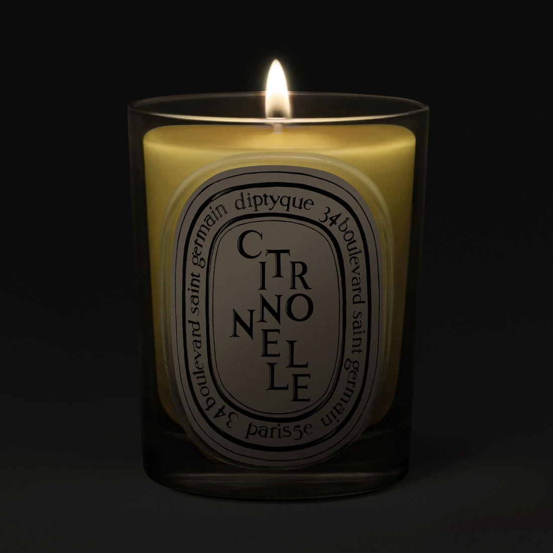 Diptyque Citronnelle Classic Candle 190 g
