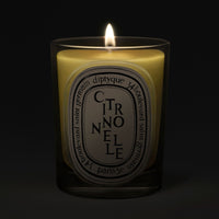 Diptyque Citronnelle Classic Candle 190 g