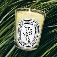 Diptyque Citronnelle Classic Candle 190 g