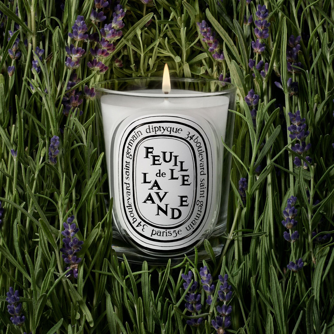 Diptyque Feuille de Lavande Classic Candle 190 g