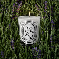 Diptyque Feuille de Lavande Classic Candle 190 g