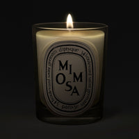 Diptyque Mimosa Classic Candle 190 g - Koch Parfymeri