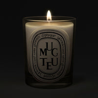 Diptyque Muguet Classic Candle 190 g
