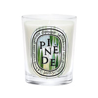 Diptyque Pinède Classic Candle 190 g Limited-Edition