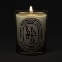 Diptyque Rhubarbe Classic Candle 190 g