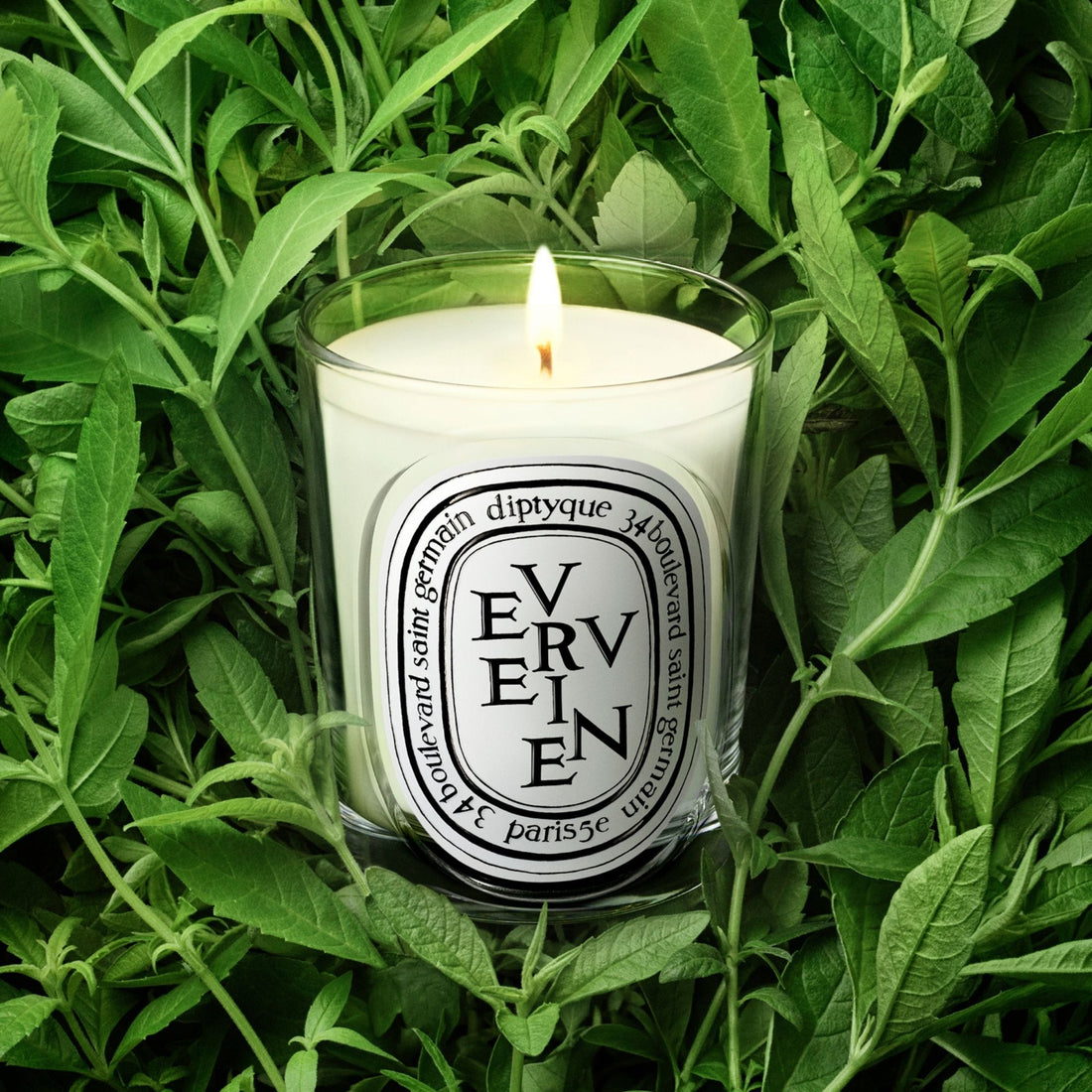 Diptyque Verveine Classic Candle 190 g - Koch Parfymeri