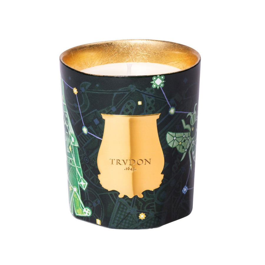 Trudon Fir Classic Candle (Christmas Tree)